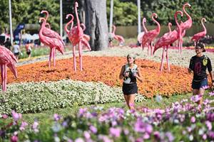 BIB: 
                            <button type="button" onclick="openModal(27793975)" class="btn btn-primary btn-sm float-right btn-popup" data-toggle="modal" data-target=".modal-high-quality">
                        <i class="fas fa-shopping-cart"></i> Add to Cart
                    </button>
                                            <button type="button" onclick="isThisMe(27793975, true)" class="btn btn-success btn-sm float-right btn-popup btn-isme hidden" data-toggle="tooltip" data-placement="bottom" title="นี่คือรูปของคุณใช่ไหม คลิกที่นี่เพื่อเอาเข้าอัลบั้ม">
                        <i class="fas fa-plus"></i> Add to album
                    </button>
                    <button type="button" onclick="isThisMe(27793975, false)" class="btn btn-warning btn-sm float-right btn-popup btn-isnotme hidden">
                        <i class="fas fa-ban"></i> Remove from album
                    </button>